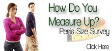Average Penis Size Survey