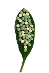 ¿Pueden las mujeres sufrir disfunción eréctil?